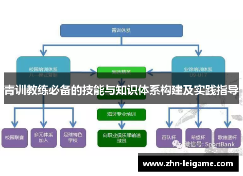 青训教练必备的技能与知识体系构建及实践指导